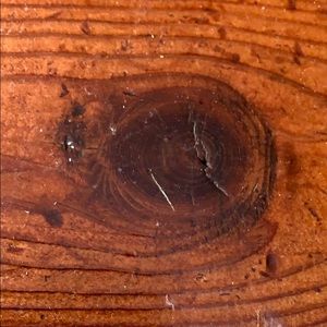 Meet your Posher, Heriberto